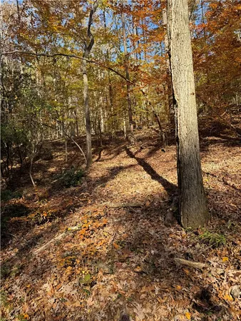 $395,000 | Tbd Alexander Road, West Union, SC 29696