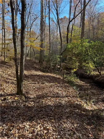 $395,000 | Tbd Alexander Road, West Union, SC 29696