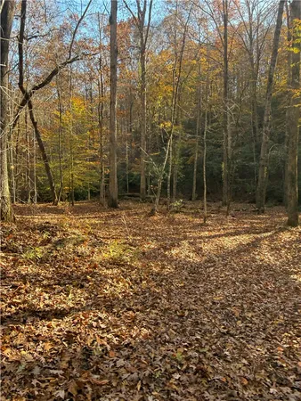 $395,000 | Tbd Alexander Road, West Union, SC 29696