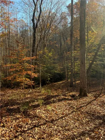 $395,000 | Tbd Alexander Road, West Union, SC 29696