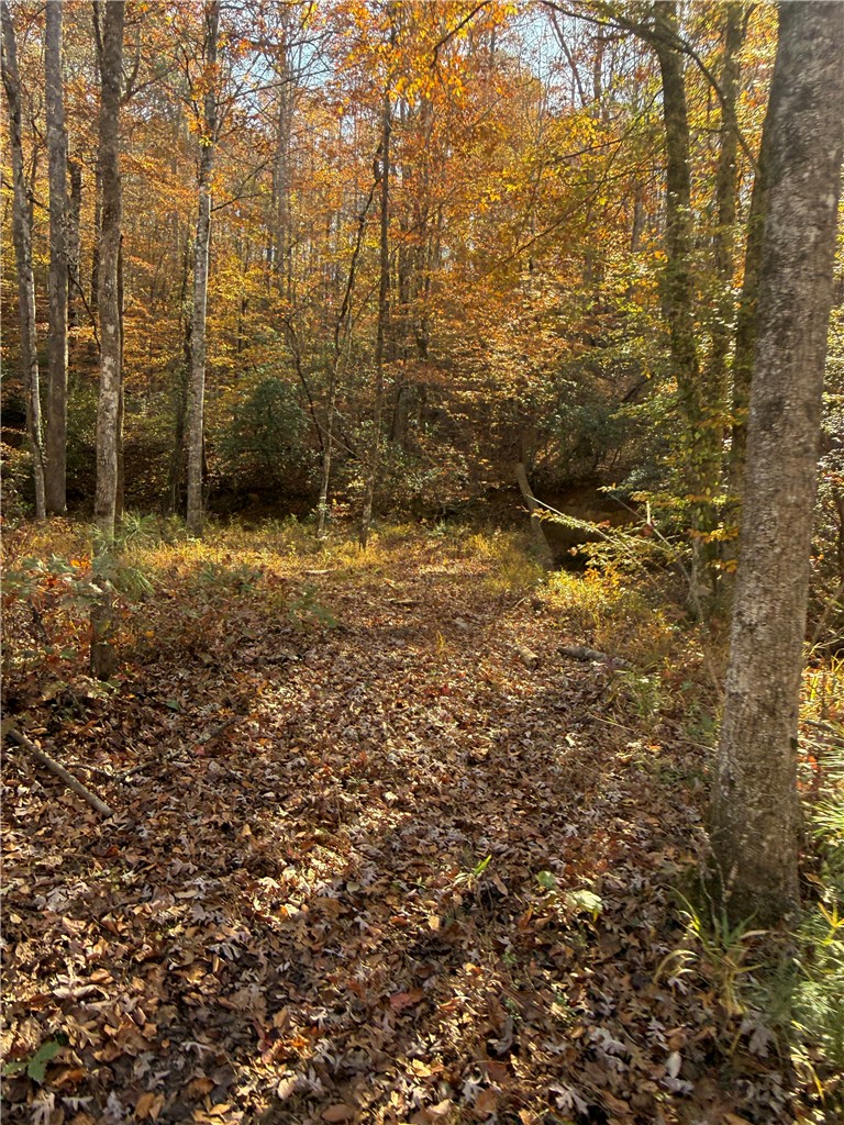 Tbd Alexander Road West Union, SC 29696 - Photo 37 of 42