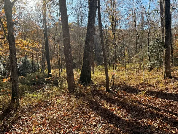 $395,000 | Tbd Alexander Road, West Union, SC 29696