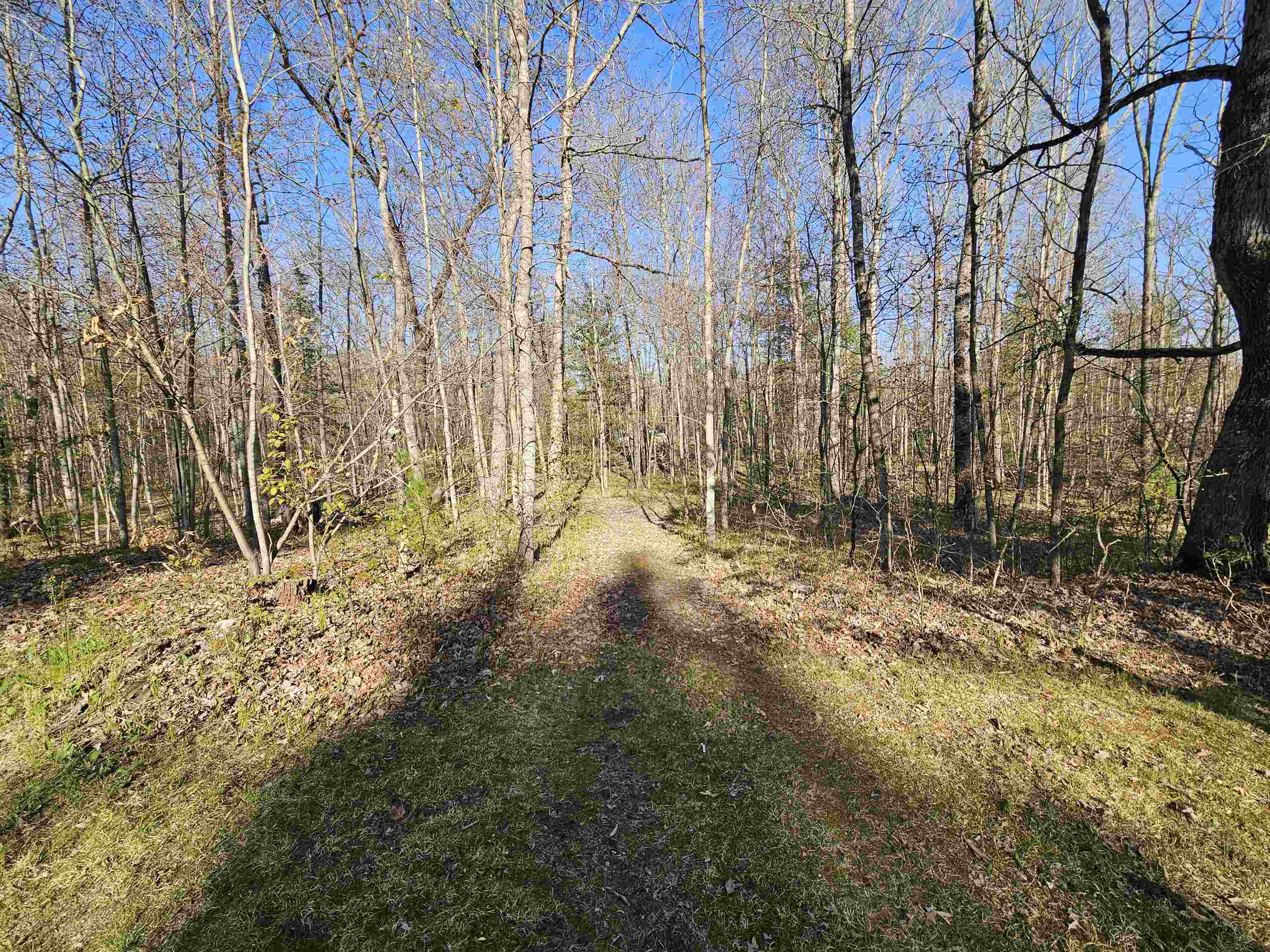 1881 West Haskell Lake Road Harrison, MI 48625 - Photo 69 of 81
