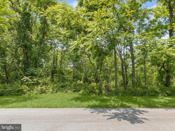 a view of a yard with a trees