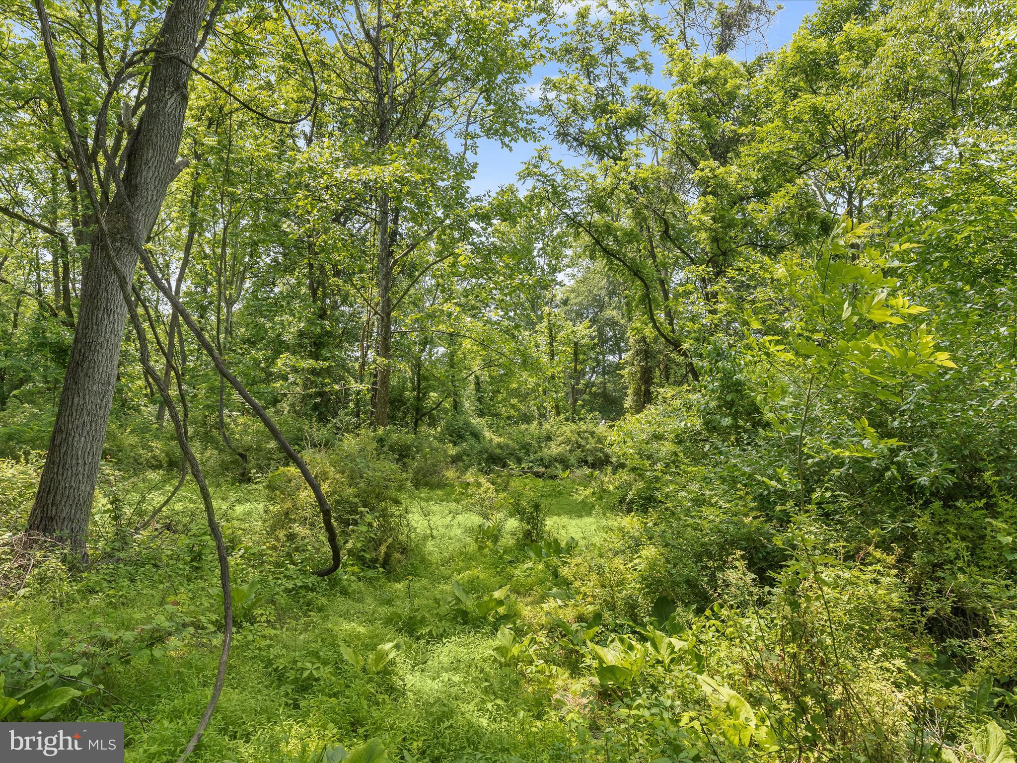 9440 Dartmouth Road Columbia, MD 21045 - Photo 6 of 13 Dartmouth Rd010