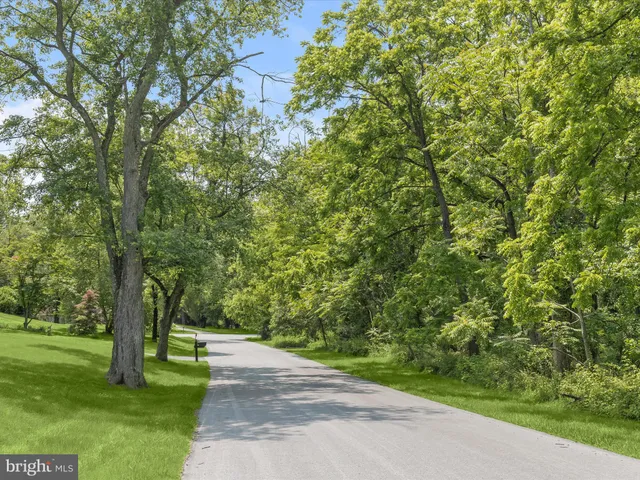 a view of a yard with a trees