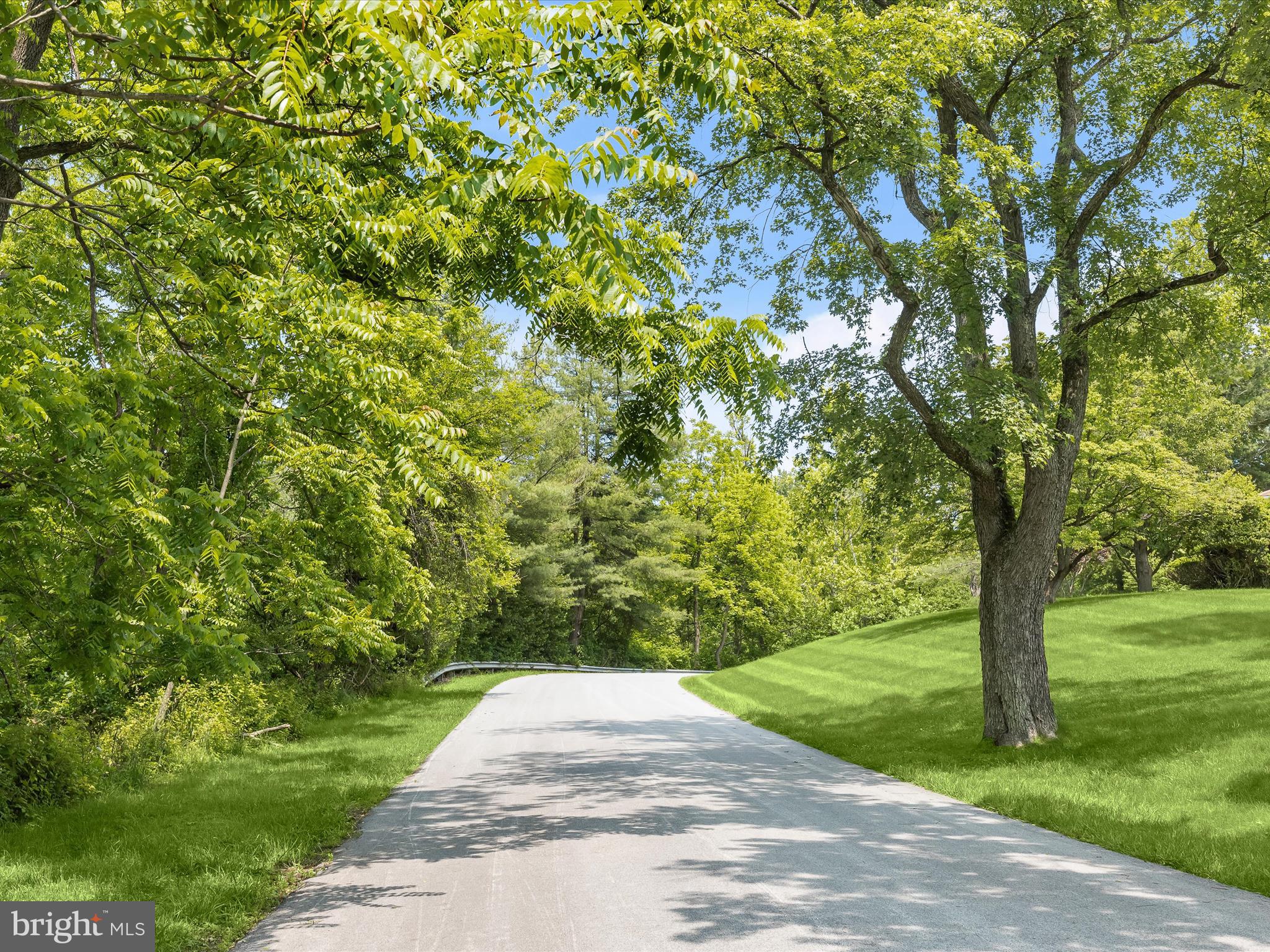 9440 Dartmouth Road Columbia, MD 21045 - Photo 10 of 13 a view of a yard with a tree