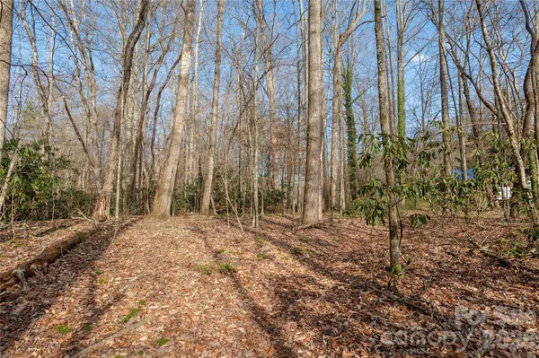 $98,000 | Tbd Starlight Circle, Brevard, NC 28712