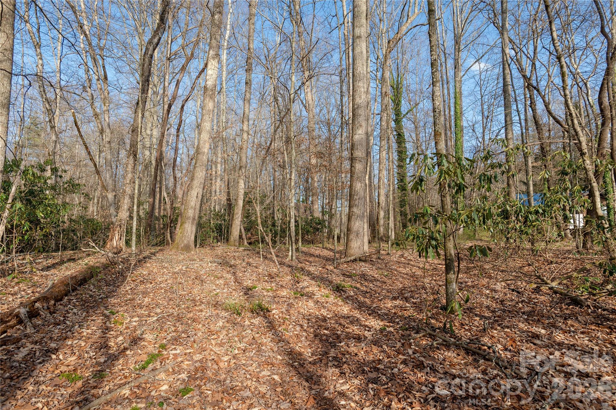 Tbd Starlight Circle Brevard, NC 28712 - Photo 11 of 20