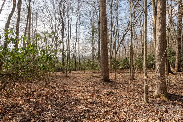 $98,000 | Tbd Starlight Circle, Brevard, NC 28712