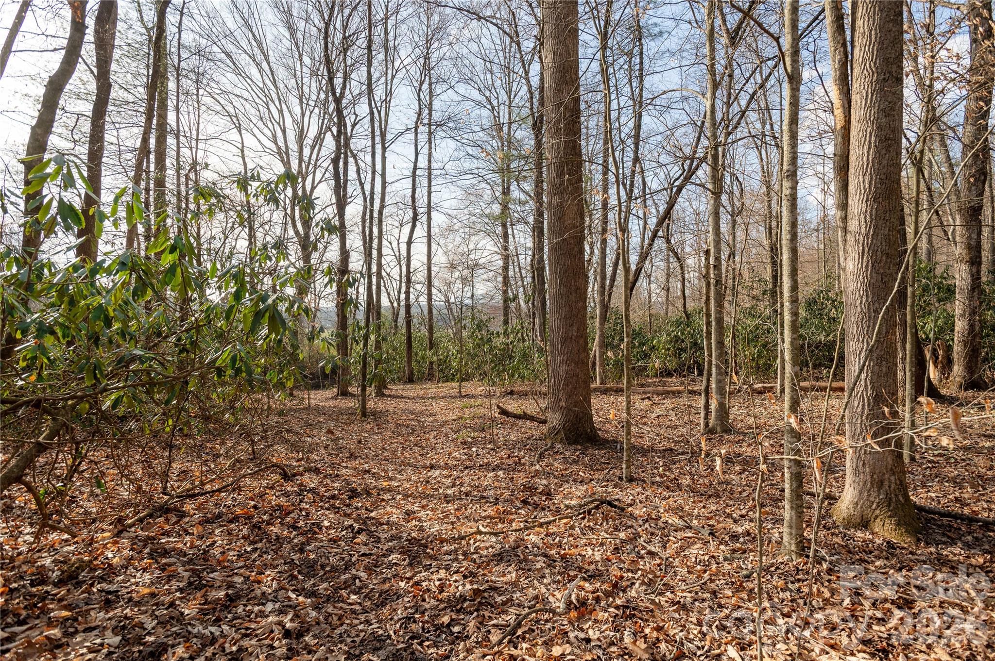 Tbd Starlight Circle Brevard, NC 28712 - Photo 12 of 20