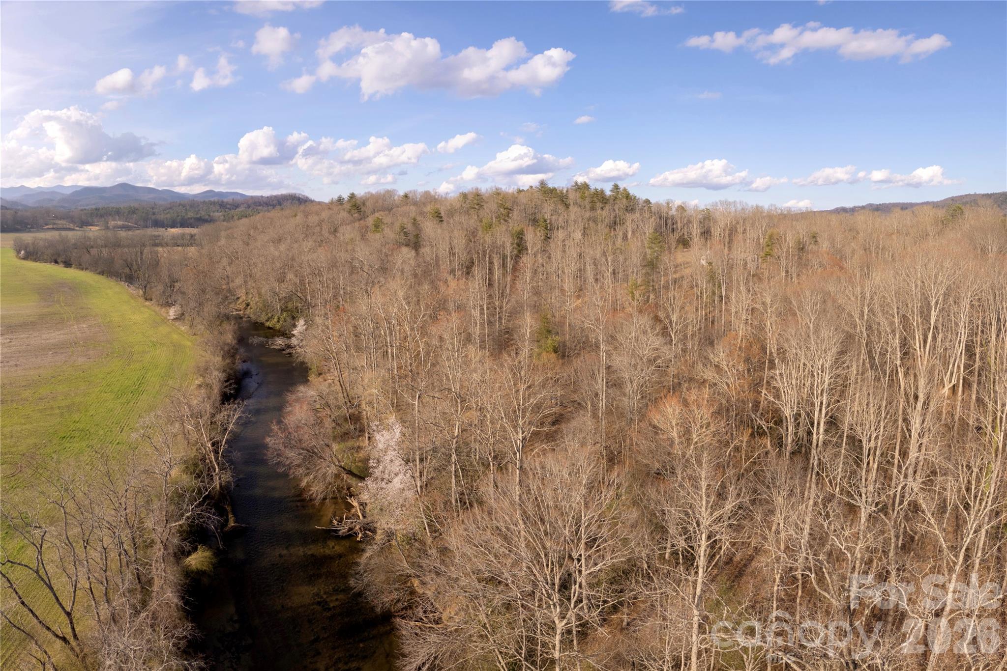 Tbd Starlight Circle Brevard, NC 28712 - Photo 13 of 20