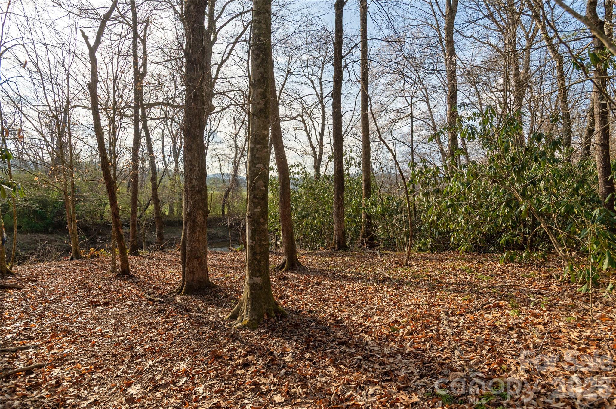 Tbd Starlight Circle Brevard, NC 28712 - Photo 4 of 20