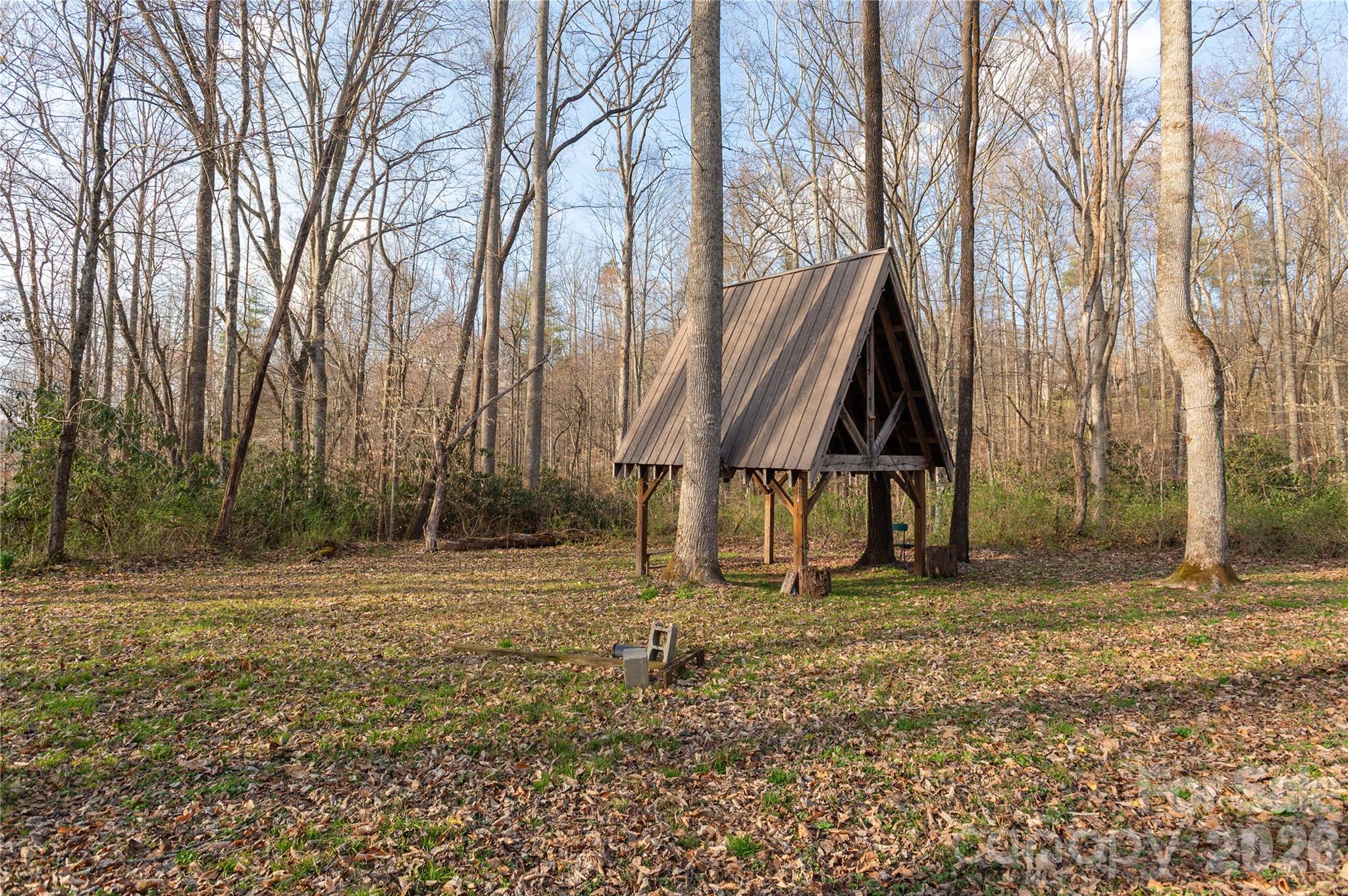 Tbd Starlight Circle Brevard, NC 28712 - Photo 9 of 20