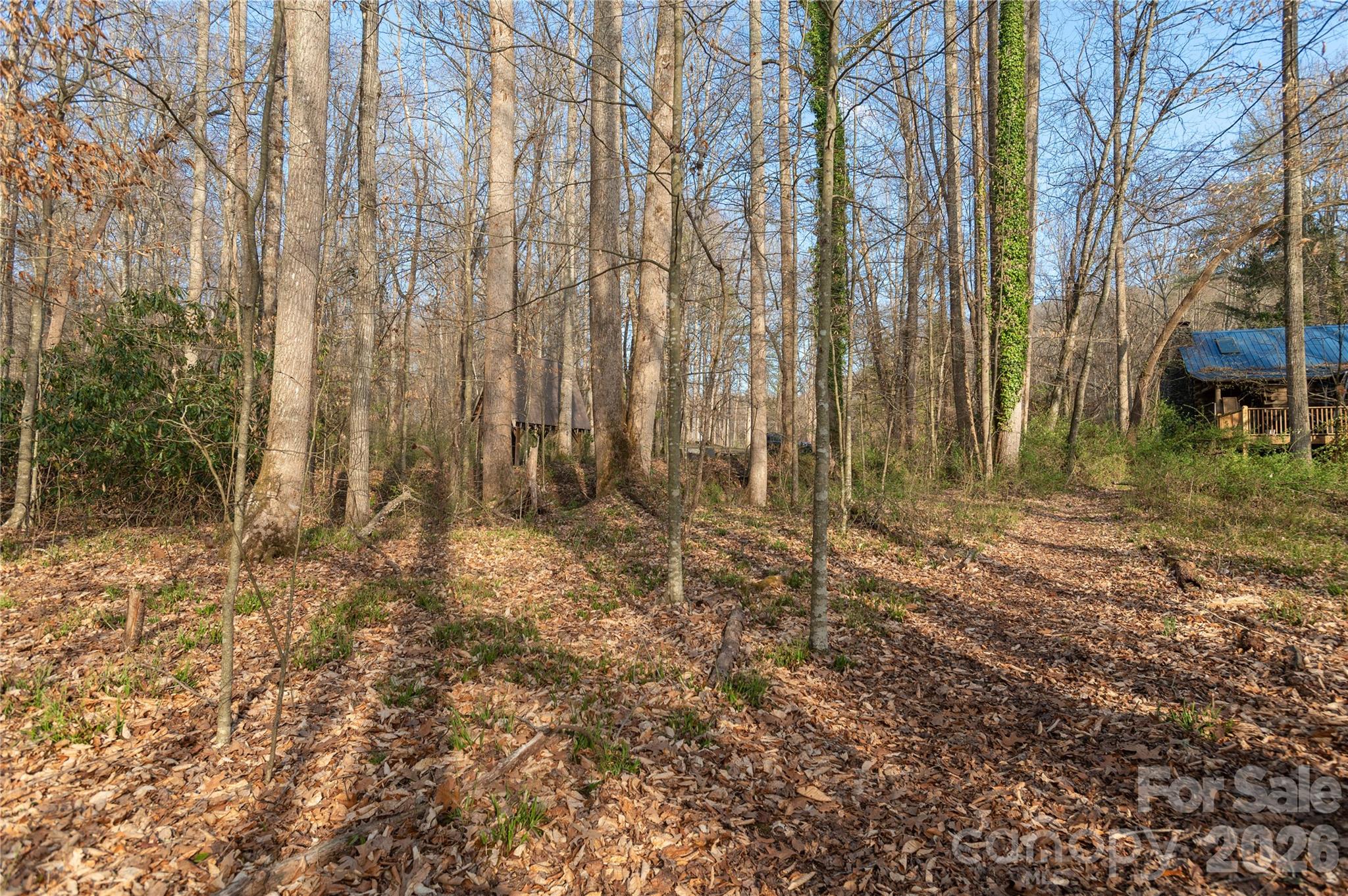 Tbd Starlight Circle Brevard, NC 28712 - Photo 10 of 20
