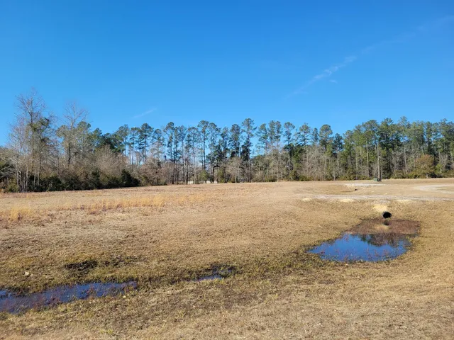 $49,500 | 91 Rice Gate Court, Unit LOT 3, Walterboro, SC 29488