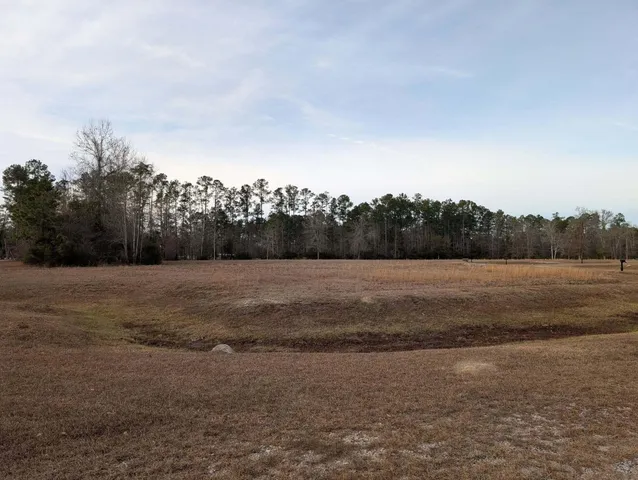 $49,500 | 91 Rice Gate Court, Unit LOT 3, Walterboro, SC 29488