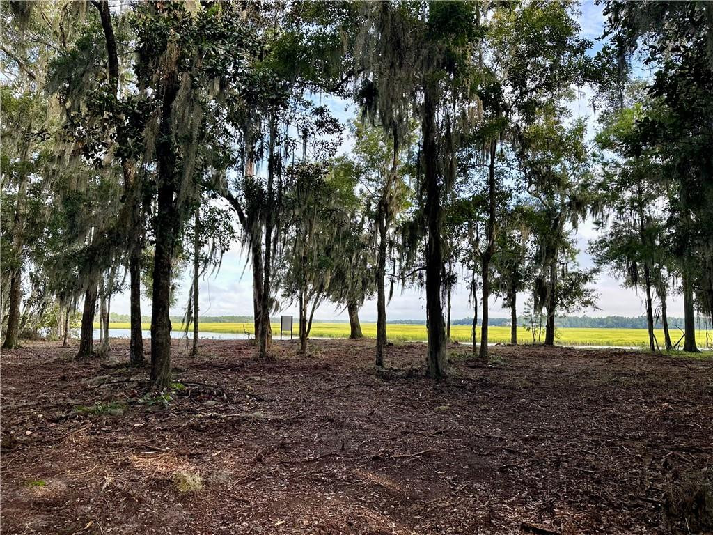 10.06-acres On Julienton Road Northeast Townsend, GA 31331 - Photo 6 of 12