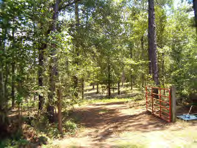 Jute Davis Road Lumberton, MS 39455 - Photo 1 of 1 Main View