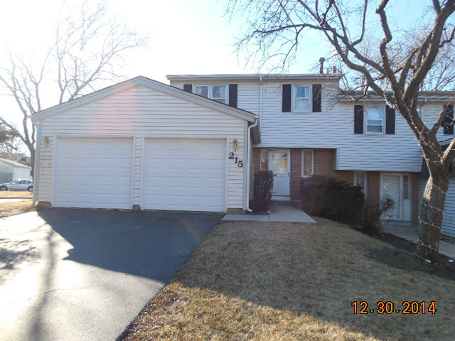 215 Monroe Road Bolingbrook, IL 60440 - Photo 1 of 4