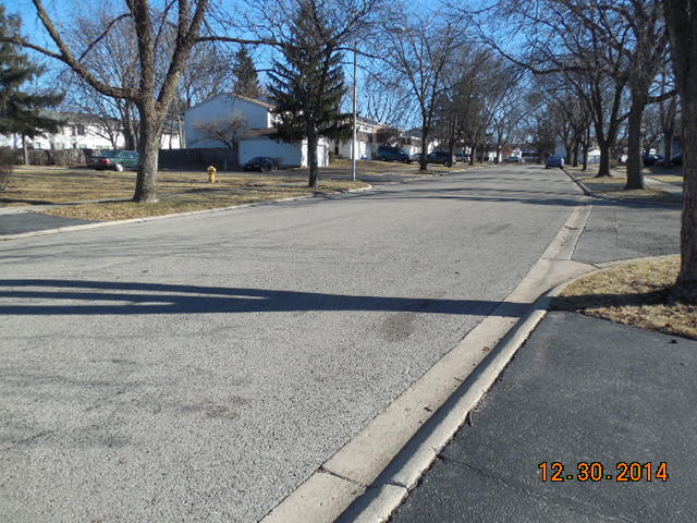 215 Monroe Road Bolingbrook, IL 60440 - Photo 3 of 4