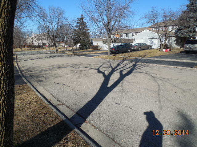 215 Monroe Road Bolingbrook, IL 60440 - Photo 4 of 4