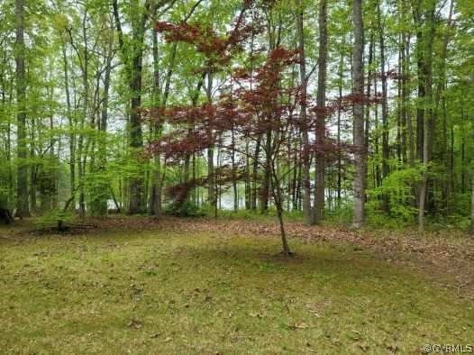 5444 Cottage Road Blackstone, VA 23824 - Photo 3 of 7 Gallery Image 3
