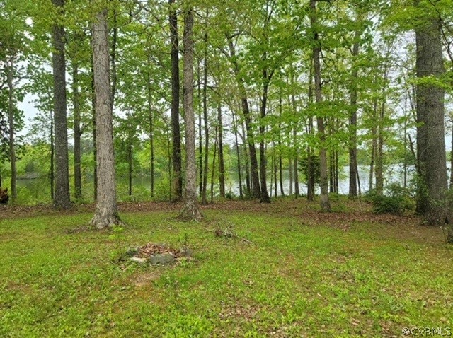 5444 Cottage Road Blackstone, VA 23824 - Photo 5 of 7 Gallery Image 5