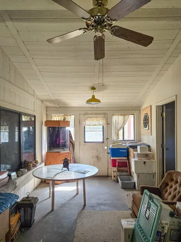 a view of a yard with large tree