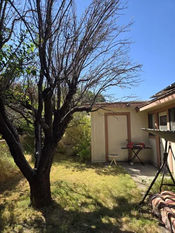a house that has a tree in front of it