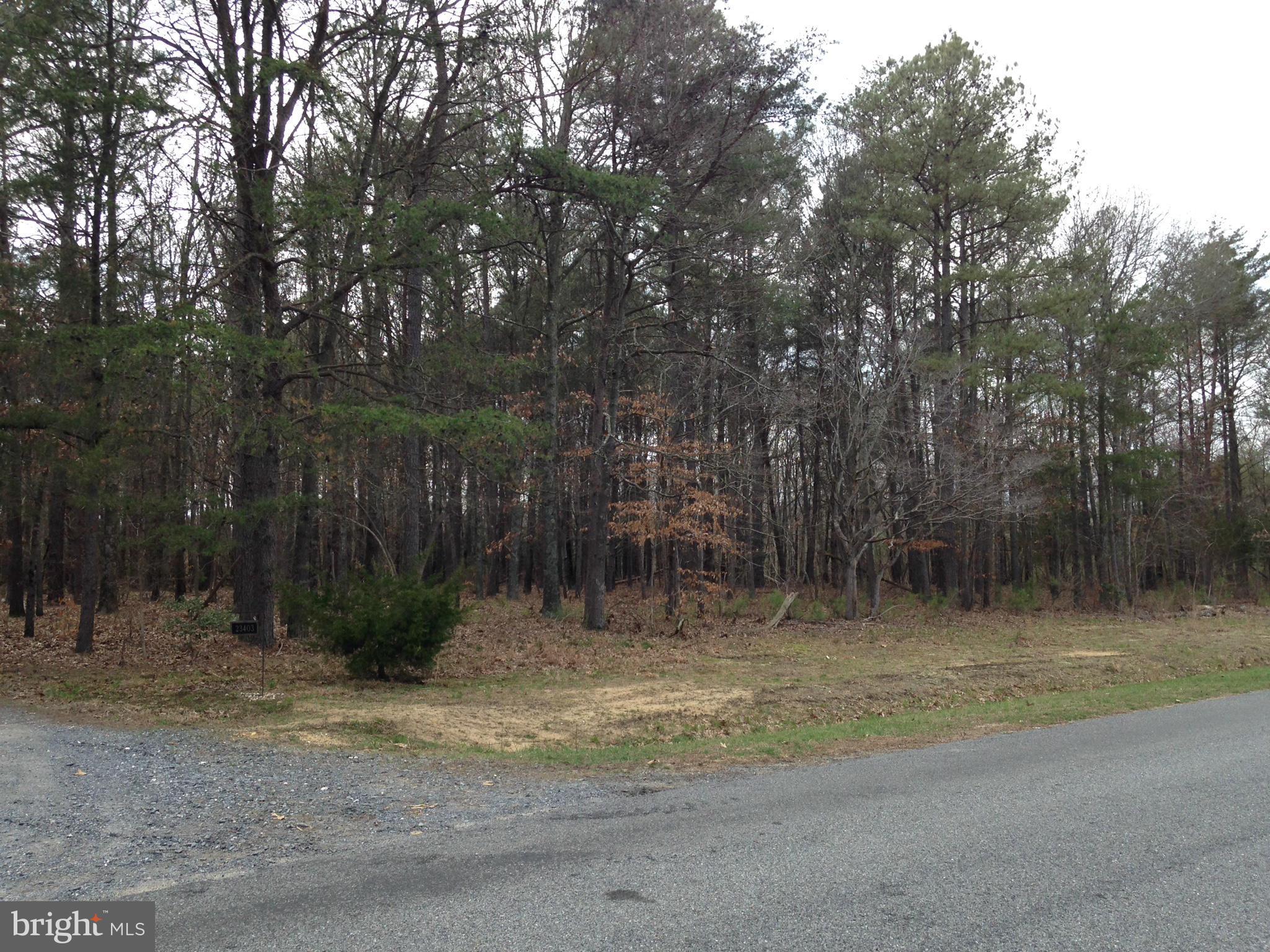 23403 Gilpin Point Road Preston, MD 21655 - Photo 13 of 18 Exterior (General)