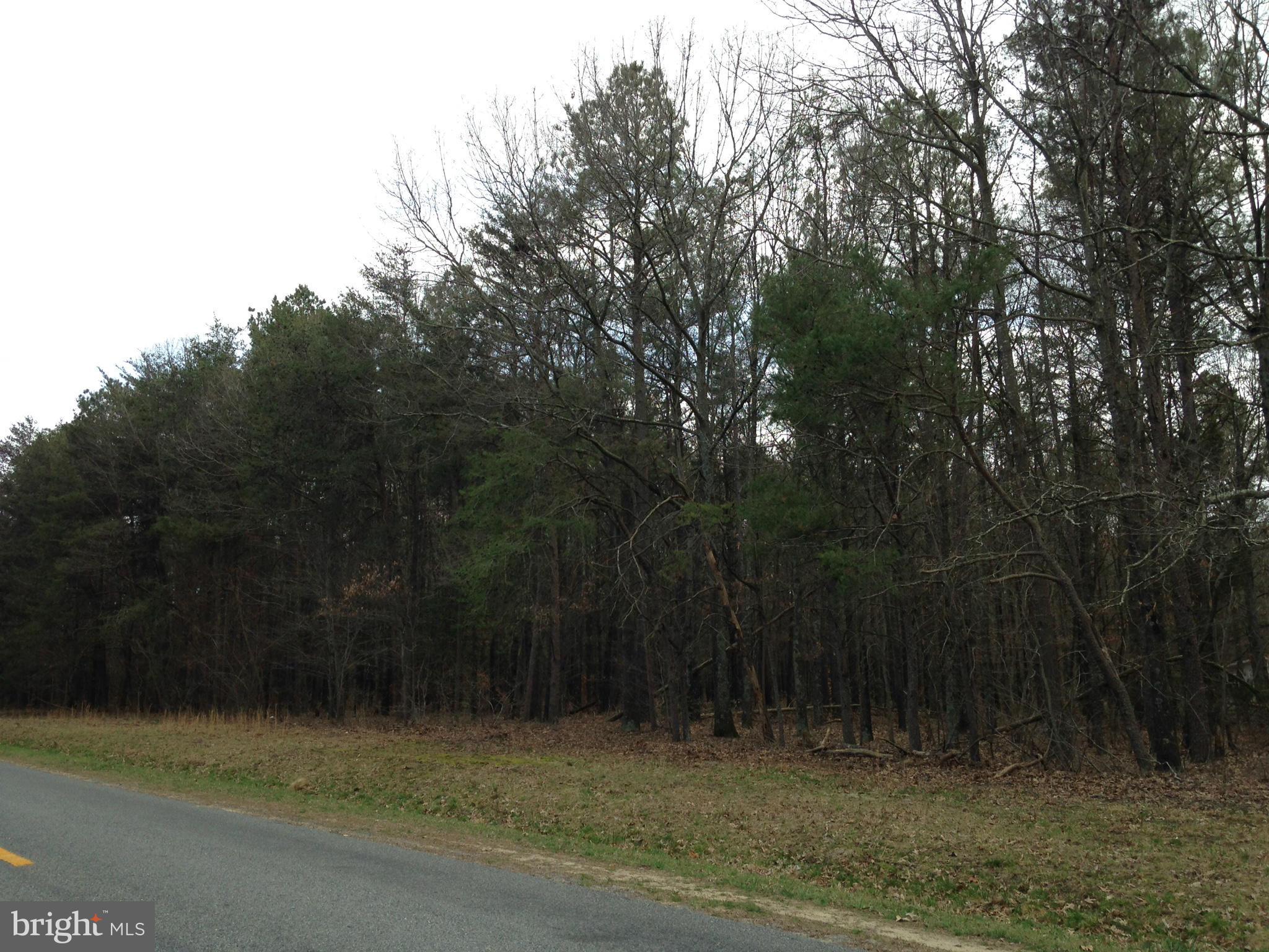 23403 Gilpin Point Road Preston, MD 21655 - Photo 14 of 18 Exterior (General)