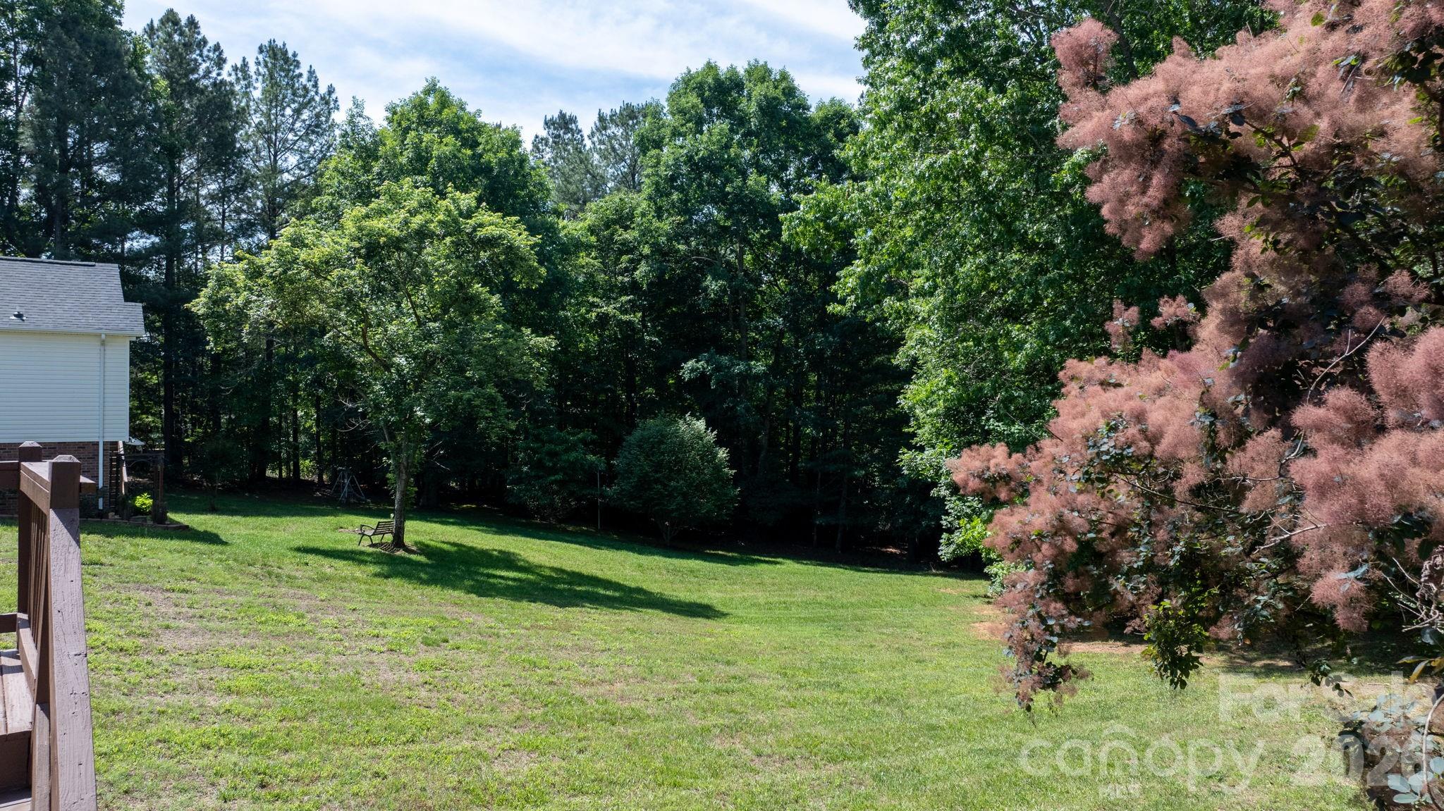 4967 Addison Lane Hickory, NC 28601 - Photo 28 of 43 a view of a tree in a yard
