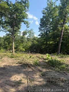 Tbd Possum Trot Road Stover, MO 65078 - Photo 5 of 10 Gallery Image 5