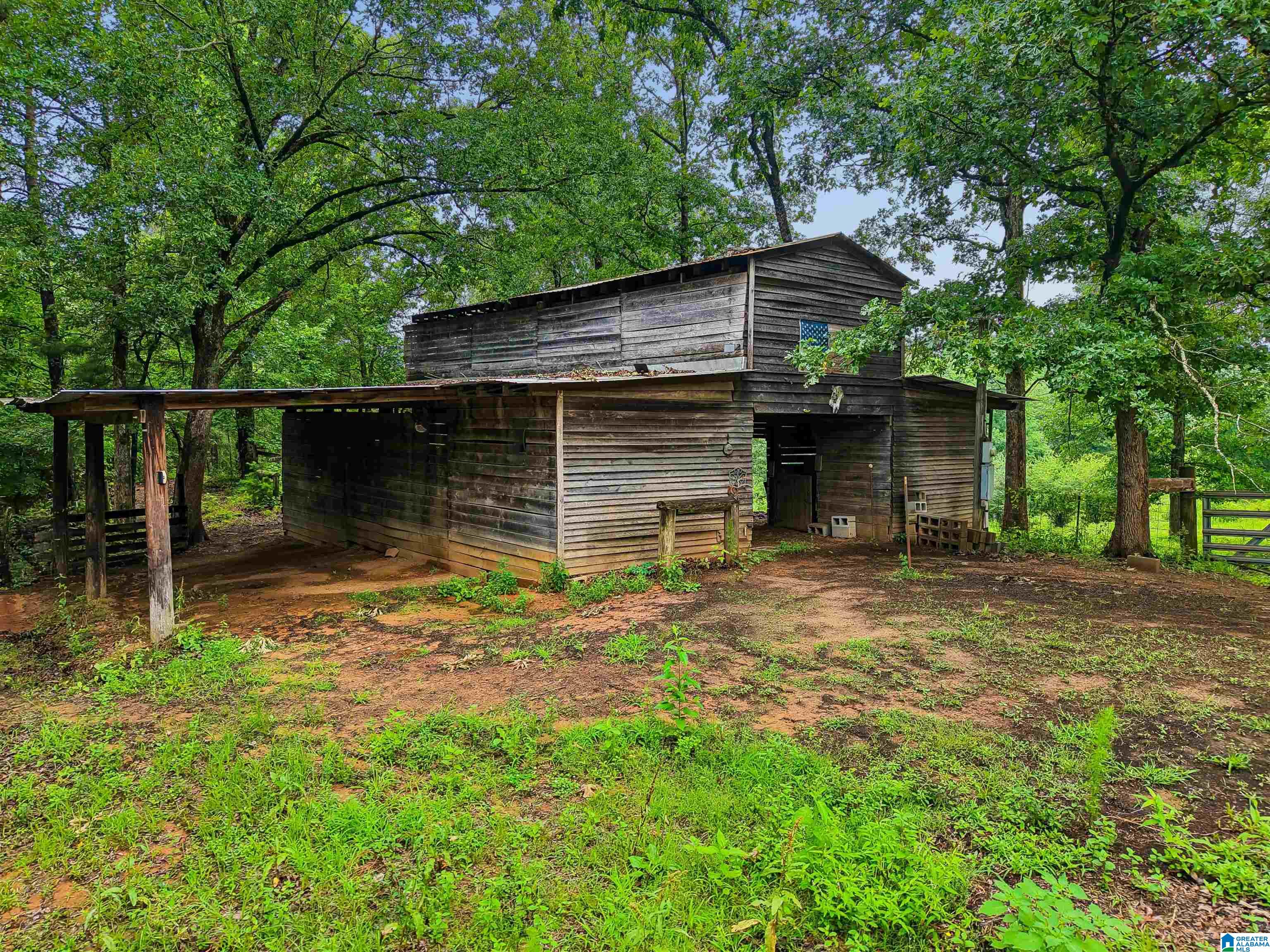 2919 Old Pineywoods Road Jasper, AL 35504 - Photo 9 of 56