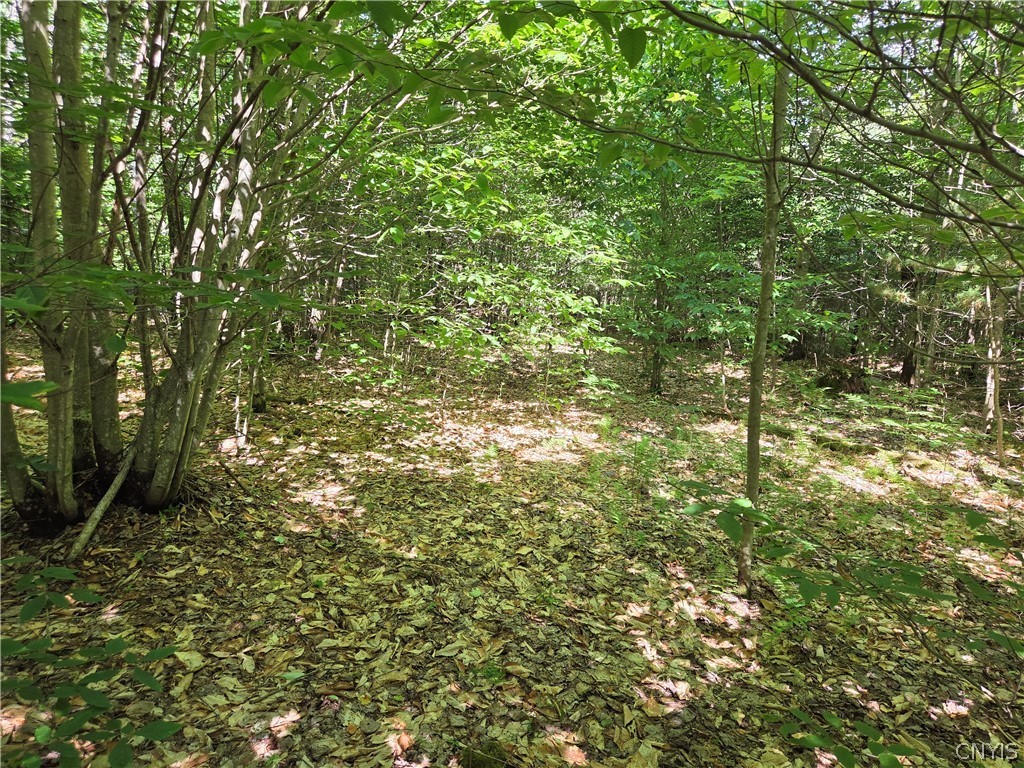 7399 Pennysettlement Road Lyonsdale, NY 13433 - Photo 7 of 7