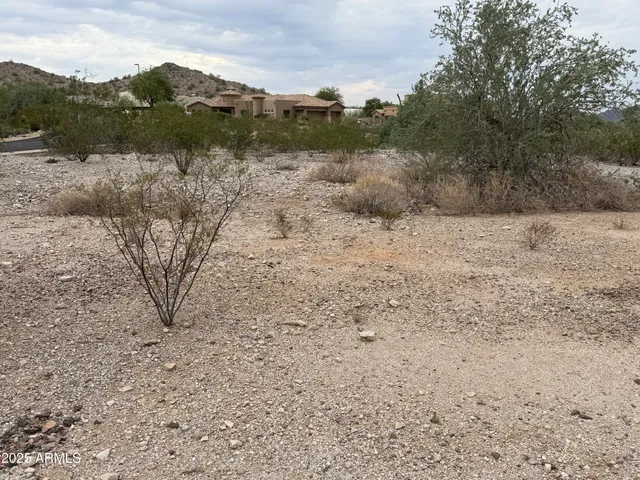 a view of a dry field with trees in the background