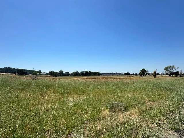 a view of yard and ocean