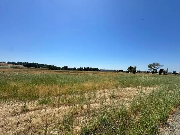 a view of a lake from a yard