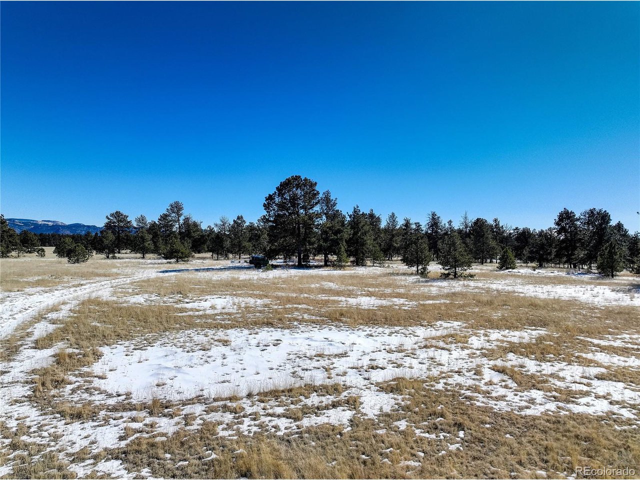 101 Ring Road Guffey, CO 80820 - Photo 6 of 14