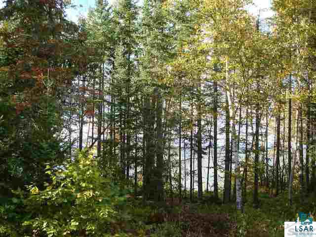 88875 Bark Point Road Herbster, WI 54844 - Photo 13 of 25 Gallery Image 13