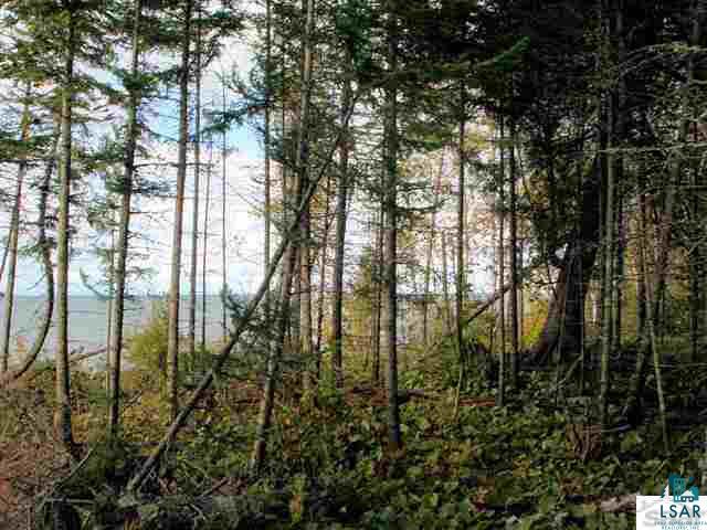 88875 Bark Point Road Herbster, WI 54844 - Photo 6 of 25 Gallery Image 6
