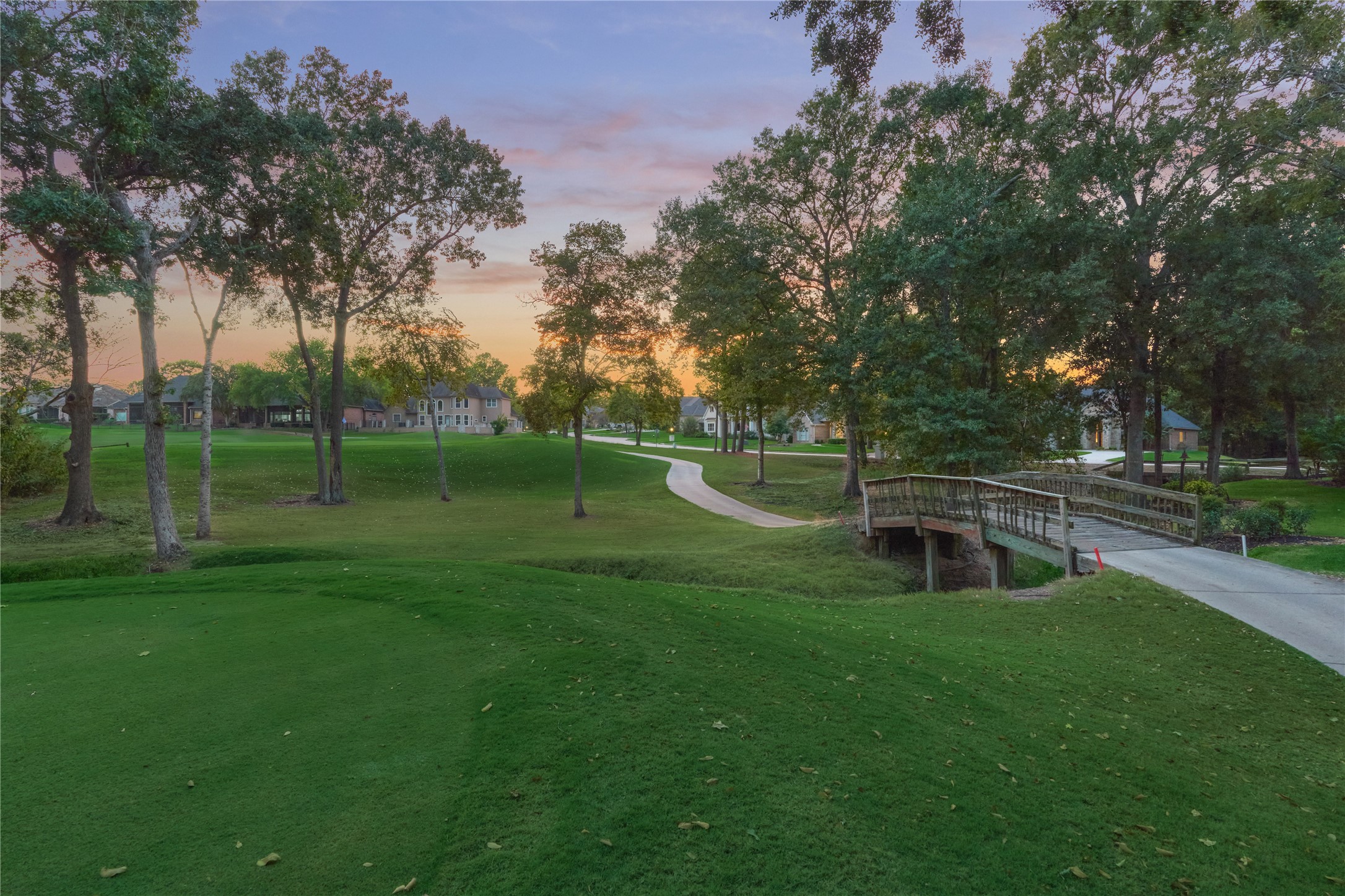 203 Monterrey Road East Montgomery, TX 77356 - Photo 46 of 50