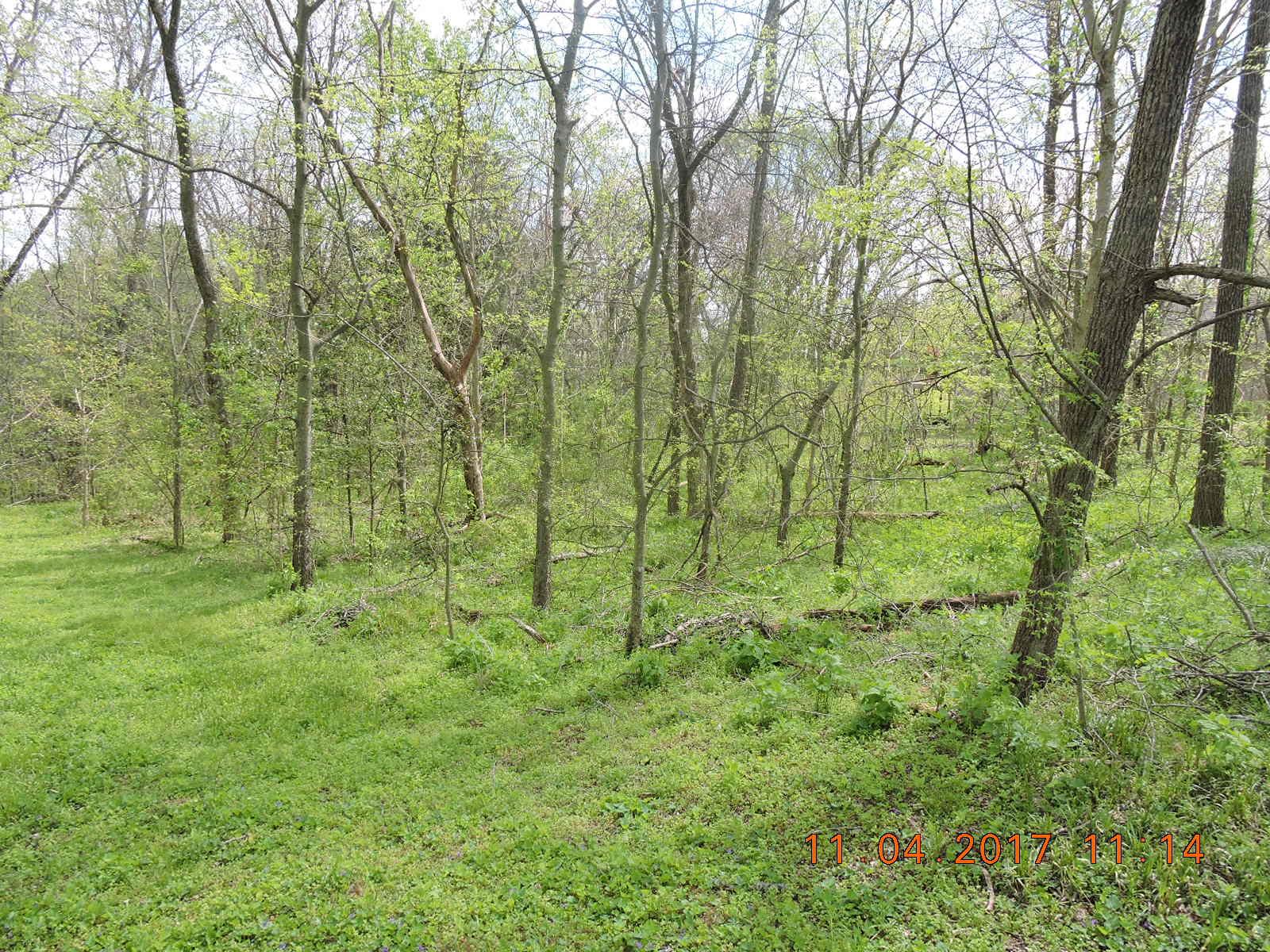 0 Ridgefield Drive Winchester, TN 37398 - Photo 4 of 5 Gallery Image 4