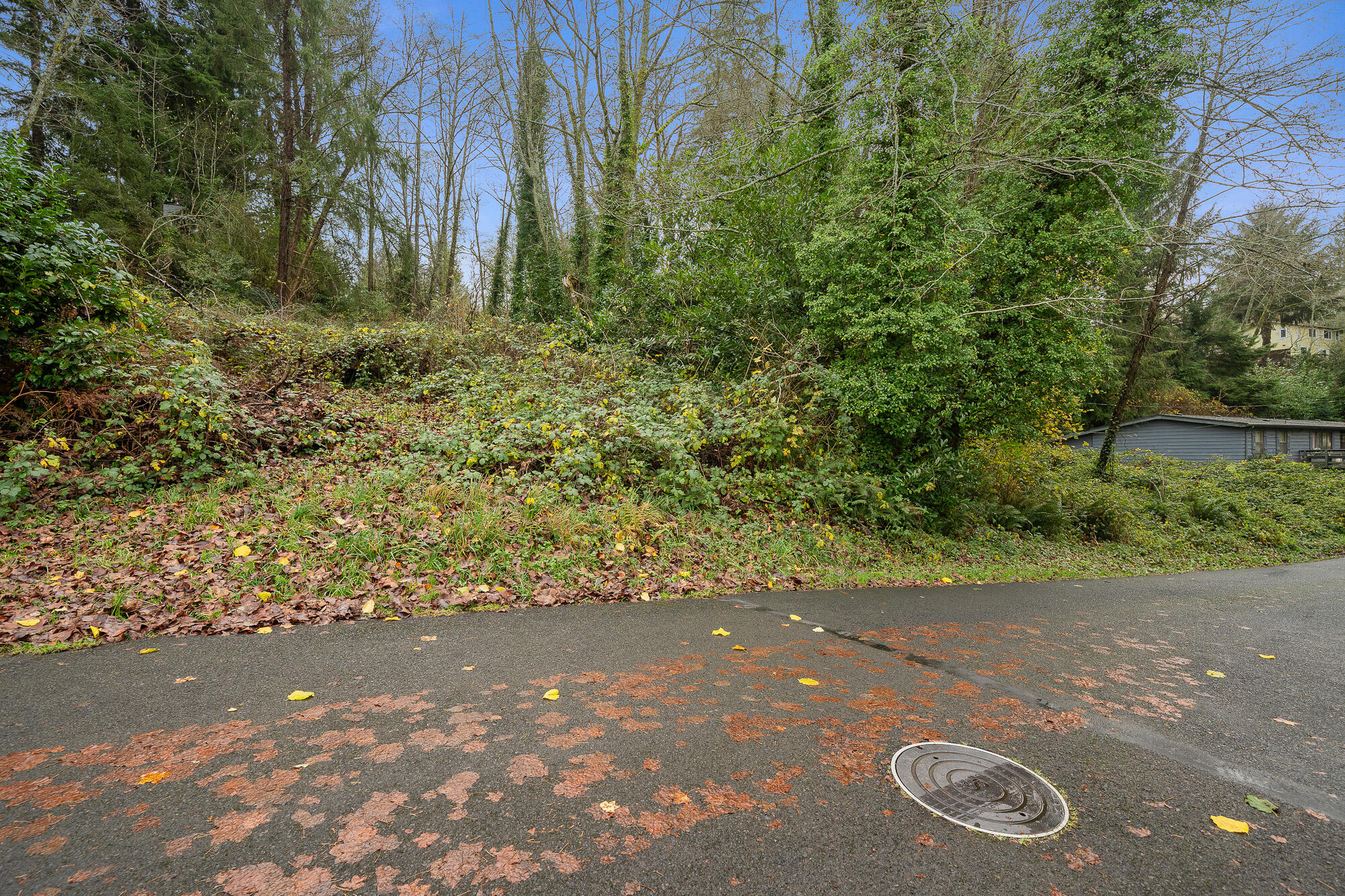 10602 I Street Nehalem, OR 97131 - Photo 2 of 14 DSC09131