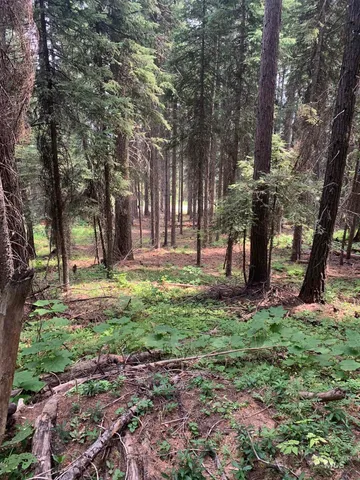 $399,900 | 2267 Franks Road, Donnelly, ID 83615