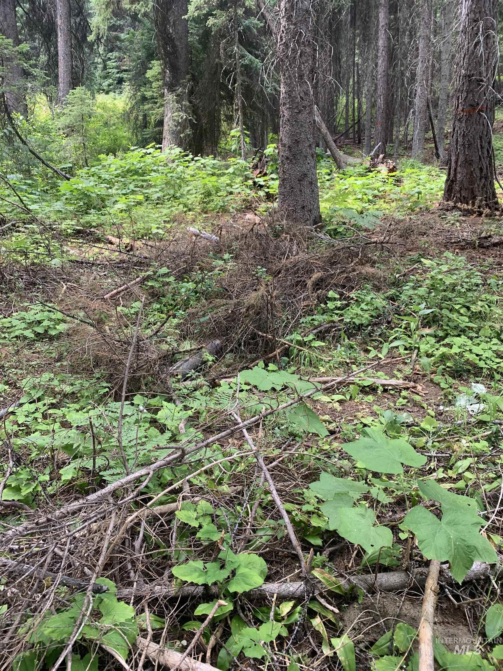 2267 Franks Road Donnelly, ID 83615 - Photo 20 of 21