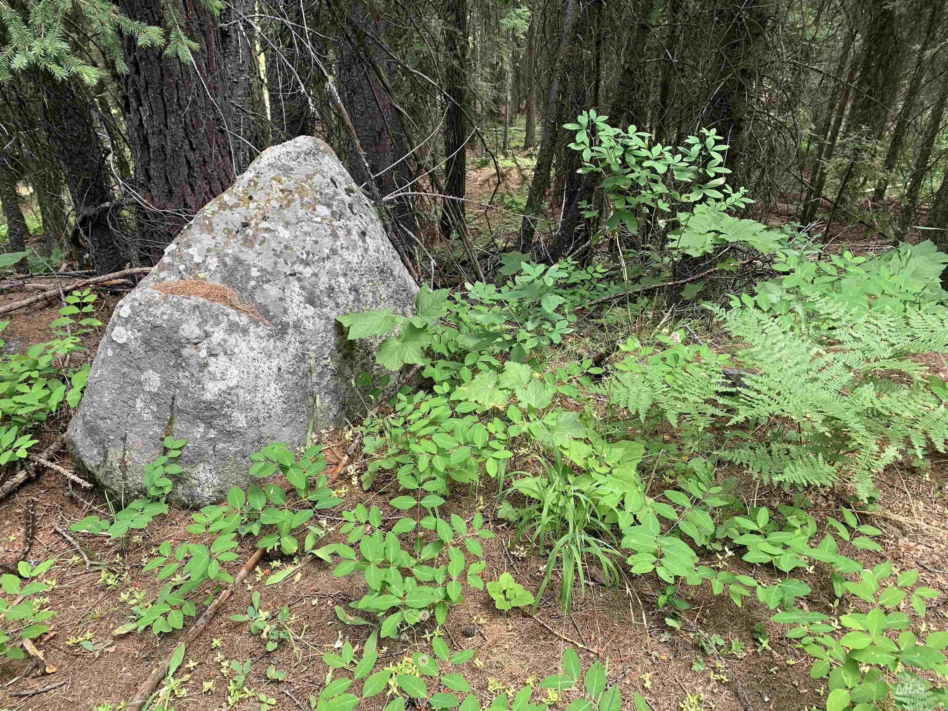 2267 Franks Road Donnelly, ID 83615 - Photo 21 of 21