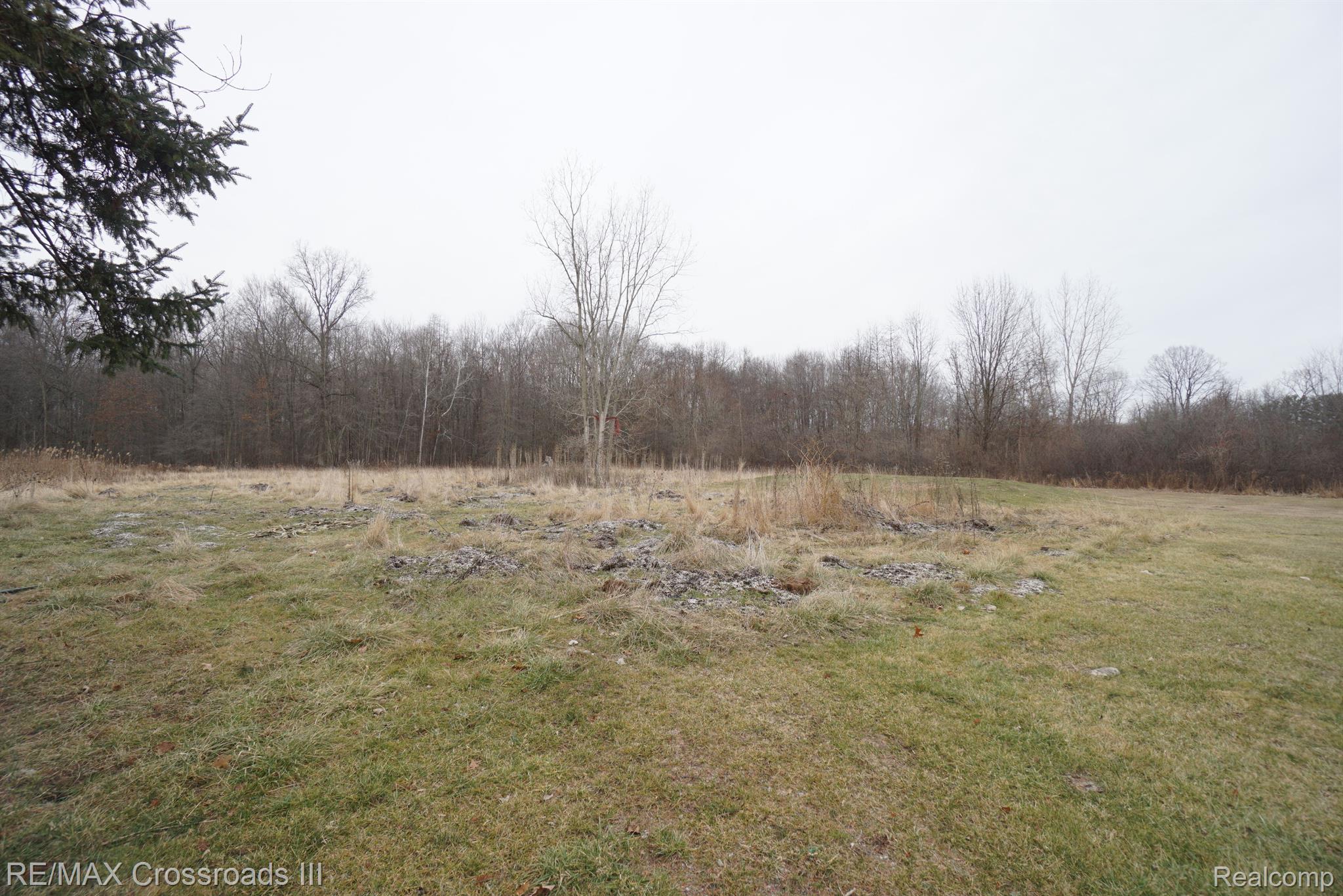 21354 Clark Road Belleville, MI 48111 - Photo 27 of 28 Gallery Image 27