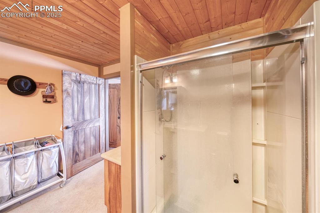 565 Pass Peak Road Westcliffe, CO 81252 - Photo 17 of 50 a bathroom with a glass shower door